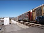 TTGX 964195